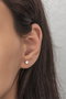 Heliophilia Silver Pendiente de Plata de Ley 925